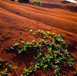 G-MODE 将于10月13日举办的Steam新品节上 首次公开两款新作试玩版！